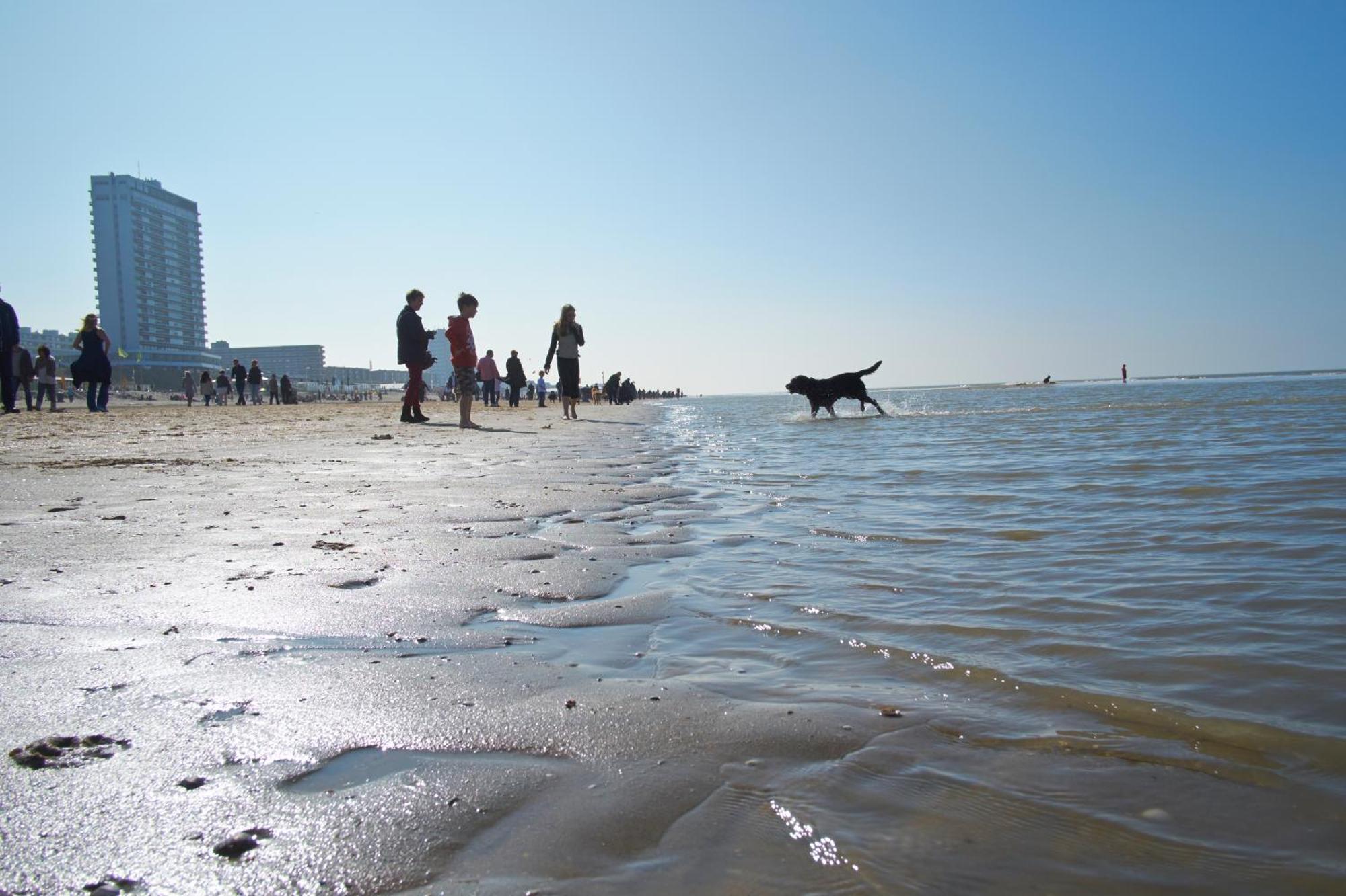 Apartmán Familie Zwinkels Zandvoort Exteriér fotografie